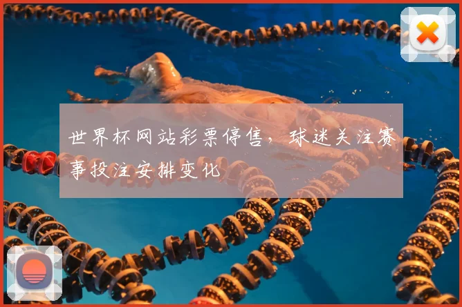 世界杯网站彩票停售，球迷关注赛事投注安排变化